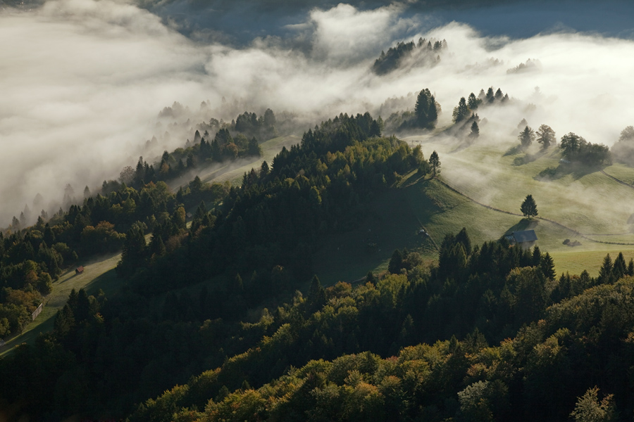 Senožeta
Senožeta v meglah. Z Rudnice.
Ključne besede: rudnica senožeta bohinj