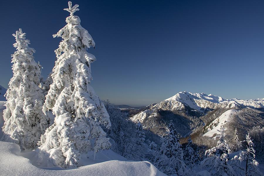 Črna prst
Črna prst s poti na Možic.
Ključne besede: možic soriška planina črna prst