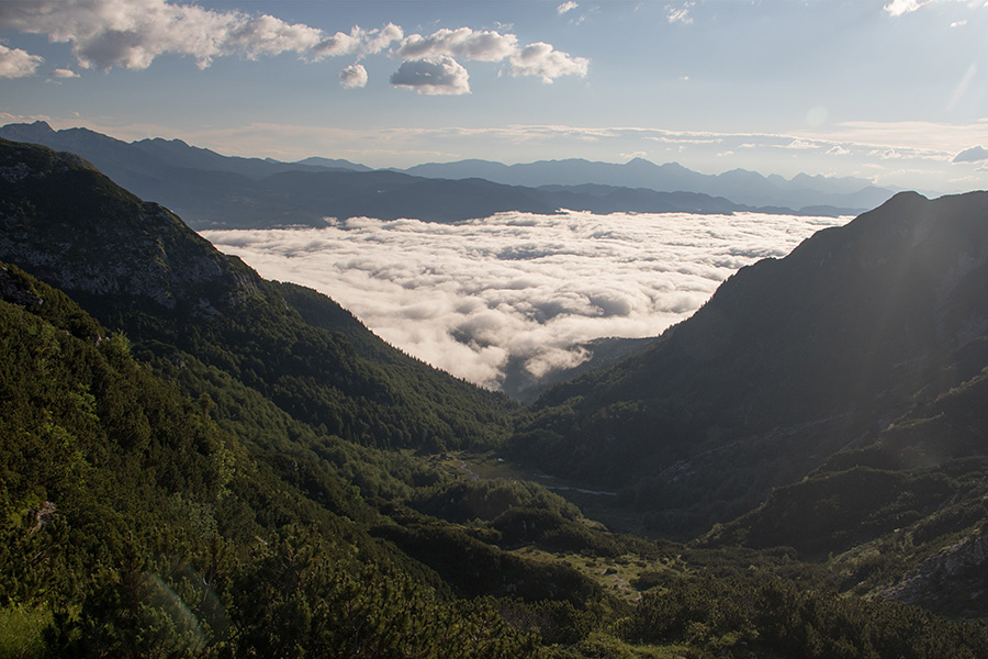 Planina Suha
Planina Suha zjutraj z meglo nad Bohinjsko kotlino.
Ključne besede: planina suha