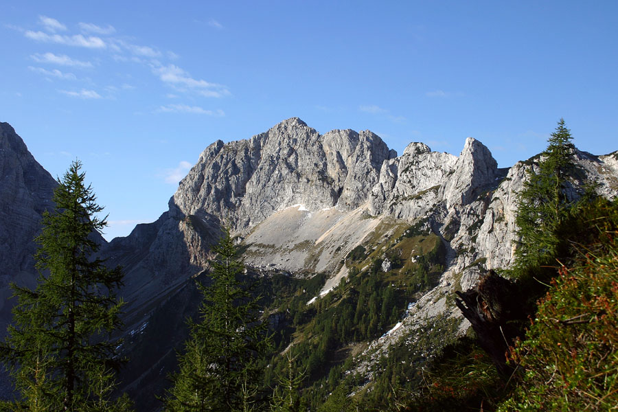 Vernar
Vernar. Nekje na poti na Veliki Pršivec.
Ključne besede: vernar veliki pršivec