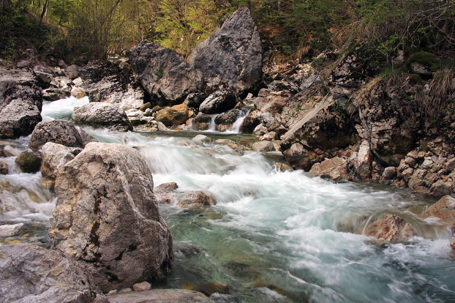 Potok Bistrica
Potok Bistrica kmalu po izviru.
Ključne besede: potok bistrica izvir