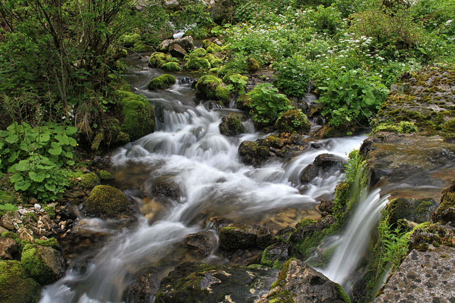 Pritok potoka Ribnica
Pritok potoka Ribnica nad Srednjo vasjo v Bohinju.
Ključne besede: potok ribnica srednja vas bohinj