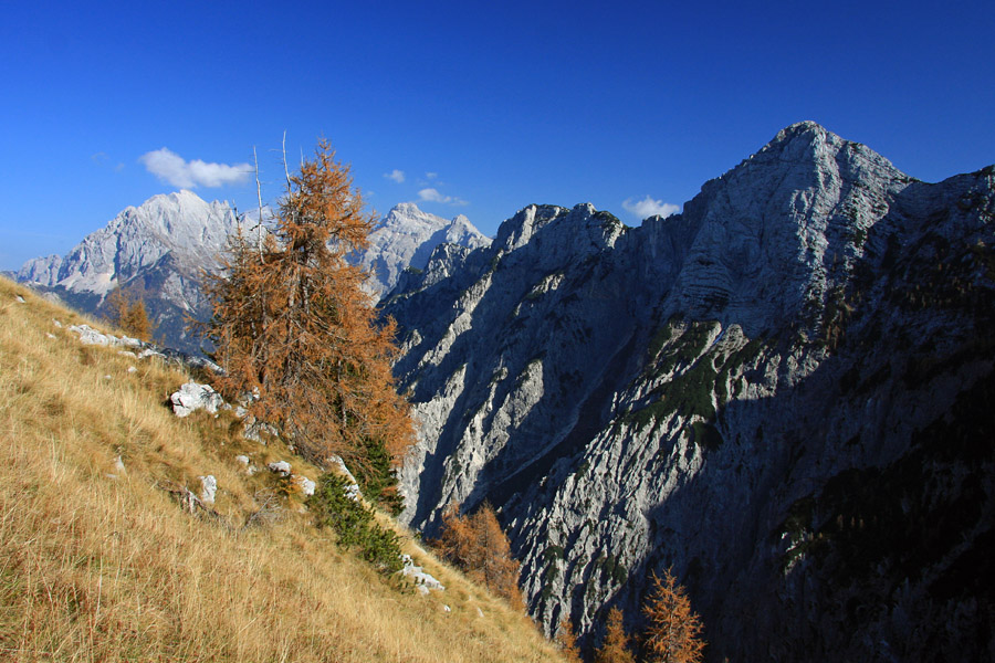 Trentarski Pelc
Trentarski Pelc na drugi strani doline. Nad planino Zapotok (Velika planina).
Ključne besede: trentarski pelc planina zapotok velika planina