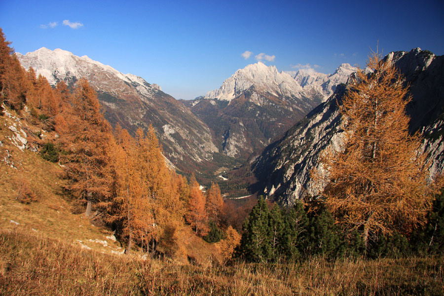 Zadnja Trenta v barvah jeseni
Pogled v dolino Zadnje Trente mimo zlatih macesnov. Nad planino Zapotok.
Ključne besede: zadnja trenta planina zapotok velika planina