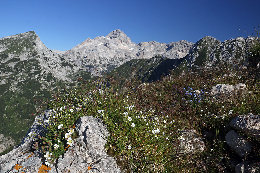 Z Viševnika
Z Viševnika
Ključne besede: viševnik triglav