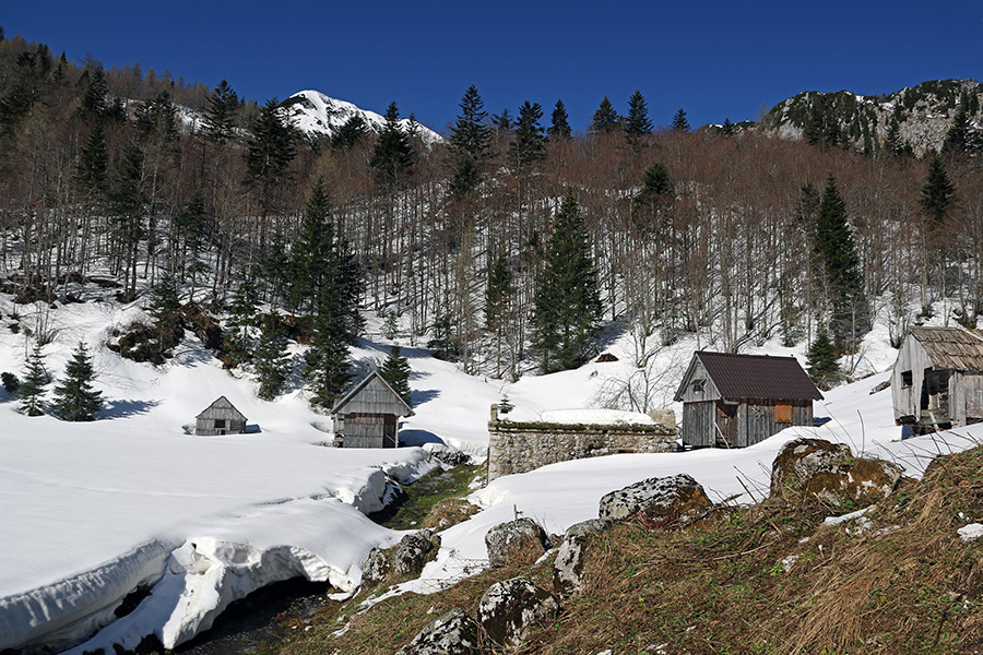 Na planini za Črno goro
Na planini za Črno goro.
Ključne besede: planina za črno goro