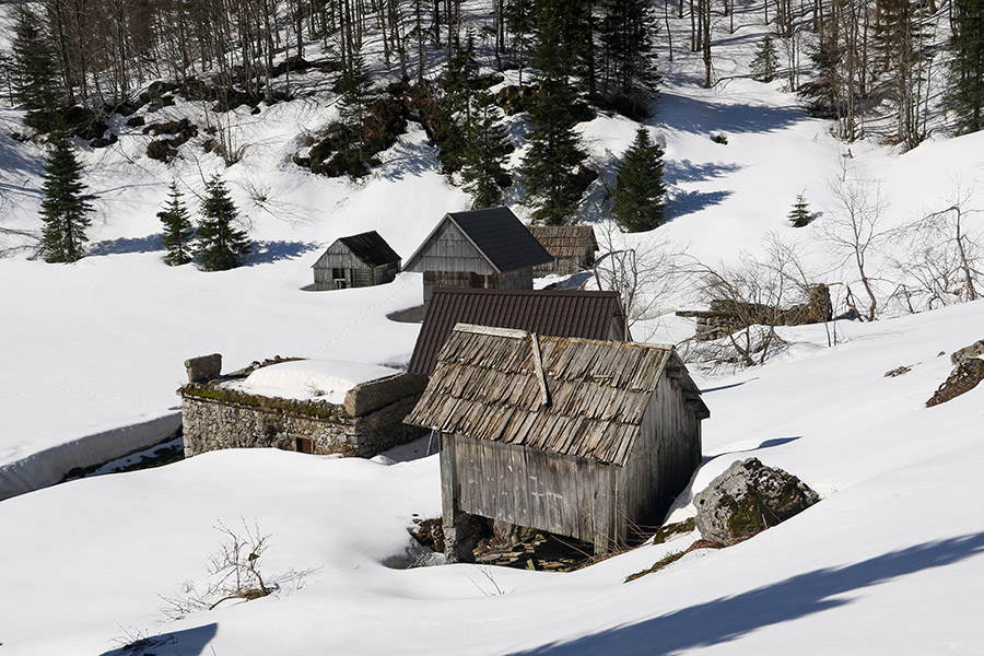 Na planini za Črno goro
Na planini za Črno goro.
Ključne besede: planina za črno goro