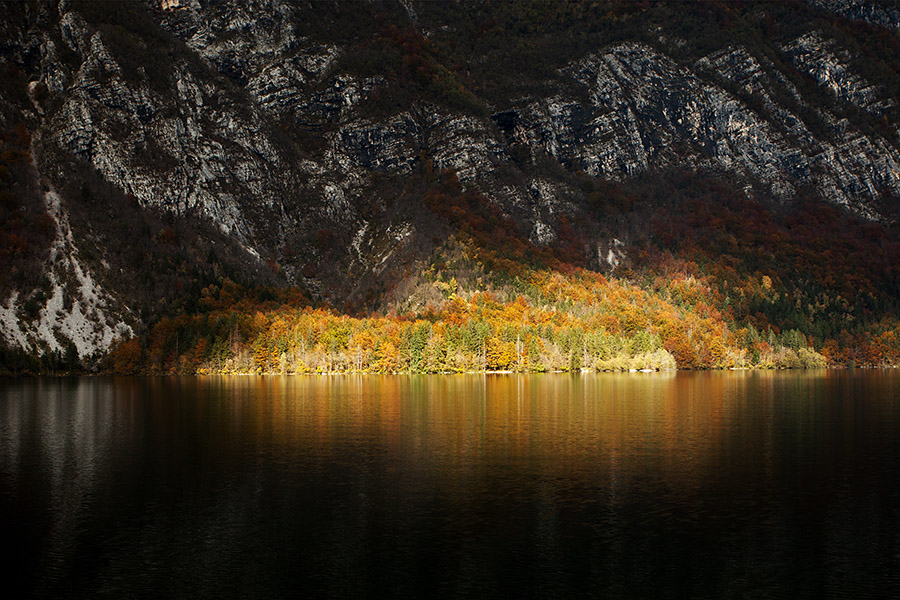 Bohinjsko jezero
Le skromen del obale pod Pršivcem, ki ga je za kratek čas obsijalo sonce.
Ključne besede: bohinjsko jezero