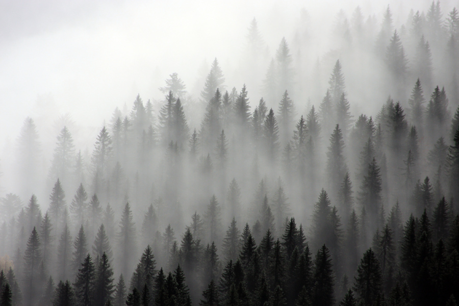 Meglena meja I.
Takole zgleda meja z meglo. Nekje nad dolino Voje.
Ključne besede: planina krstenica voje jezerski stog