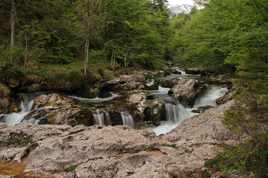 Korita Mostnice II.
V koritih Mostnice.
Ključne besede: korita mostnica voje bohinj
