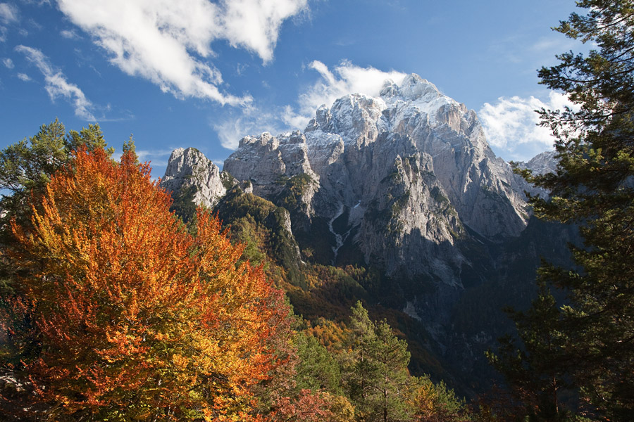 Montaž IV.
Montaž z doline Dunja.
Ključne besede: montaž dunja dogna