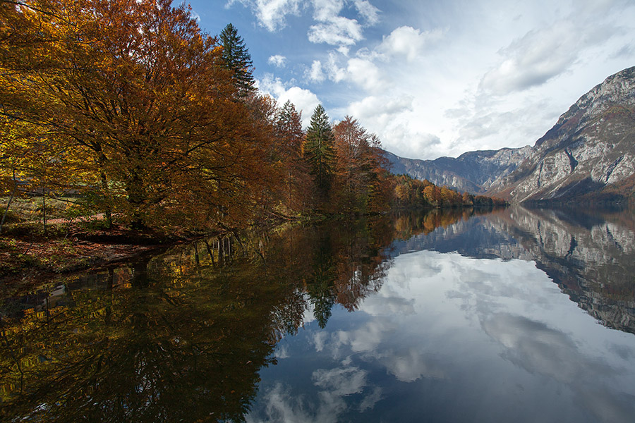 Jesen na Bohinjskem jezeru
Jesen na Bohinjskem jezeru.
Ključne besede: bohinjsko jezero
