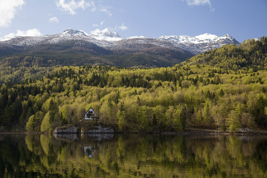 Bohinjsko jezero VII.
Pomlad ob Bohinjskem jezeru. Na Skalci. Zadaj kraljujeta Mali Raskovec in Rodica
Ključne besede: bohinj jezero mali raskovec rodica