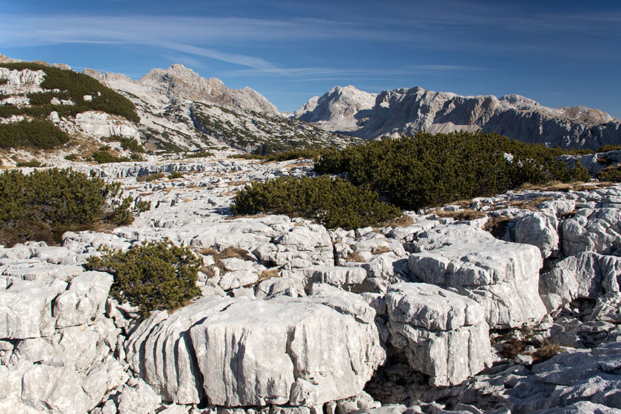 Kraški svet
Neverjetno divji in čudovit je kraški svet med vrhom Škrila in Kalom. 
Ključne besede: kal vrh škrila lepo veliko špičje triglav tičarici zelnarici kopica