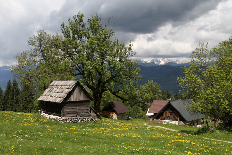 Bitenjska planina I.
Ena najnižje ležečih planin v Bohinju.
Ključne besede: bitenjska planina