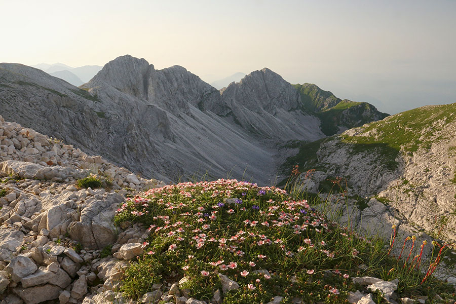 Mali Peski in Škofič
Izpod Vrha nad Peski.
Ključne besede: mali peski škofič triglavska roža potentilla nitida