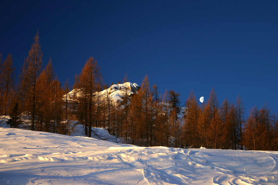 Med dnevom in nočjo
Prvi sončni žarki v macesnih, na nabu pa zahaja luna. Planina Lipanca.
Ključne besede: planina lipanca