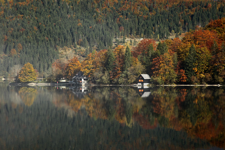 Bohinj jeseni IV.
Jesenski odsevi.
Ključne besede: bohinjsko jezero