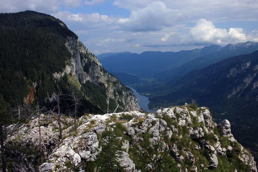 Požgani Orlič
Še vedno vidne sledi požara, ki se je s Komarče razširil do vrha Orliča (med Črnim jezerom in Komno). Levo je Pršivec.
Ključne besede: orlič koman bohinj pršivec