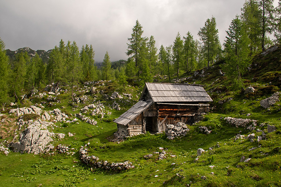 Na Ovčariji
Stan na planini Ovčarija.
Ključne besede: planina ovčarija