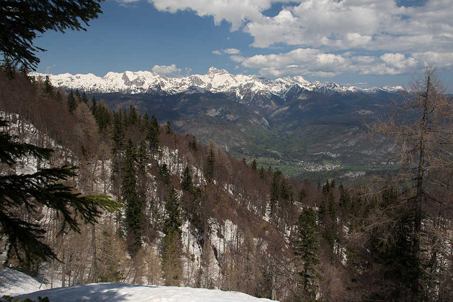 Na planino Poljana
S poti na planino Poljana.
Ključne besede: planina poljana