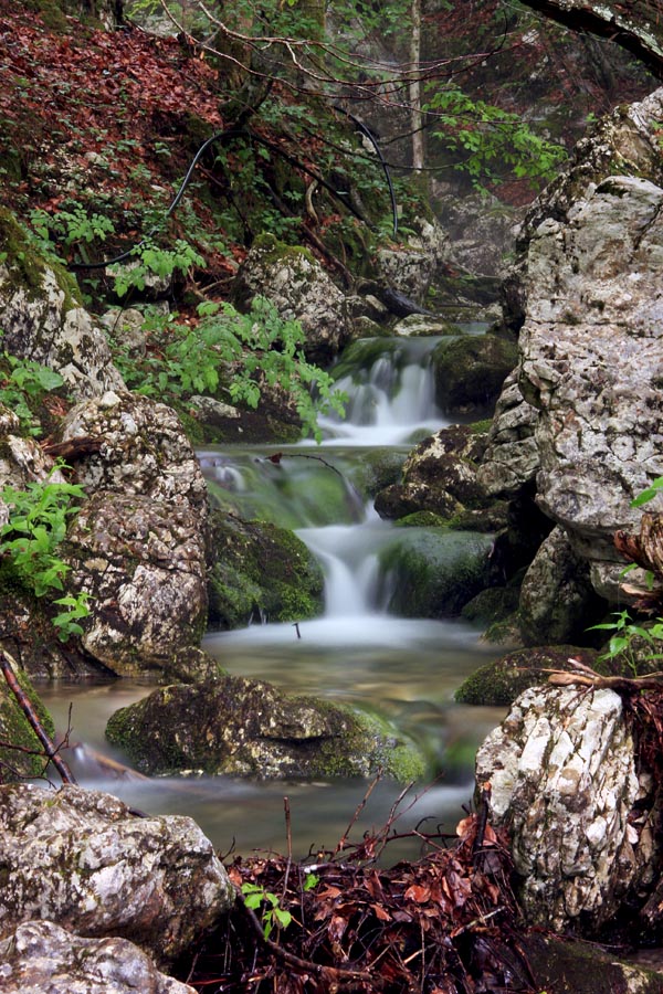 Potoček
Eden od številnih potočkov v Ukancu.
Ključne besede: ukanc potok bohinj