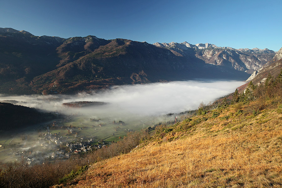 S Studorja
Stara Fužina in megla nad Bohinjskim jezerom. S Studorja.
Ključne besede: studor stara fužina bohinjsko jezero