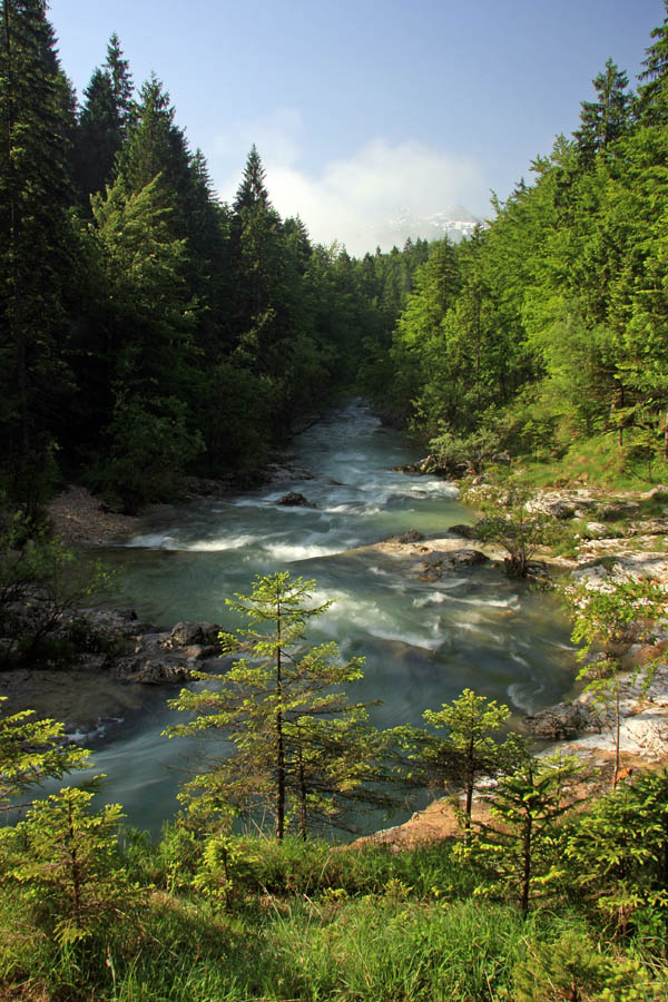 Mostnica II.
Bolj odprti del Mostnice.
Ključne besede: mostnica korita bohinj
