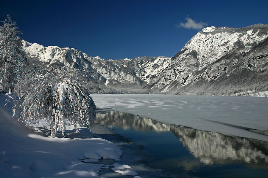 Zimski Bohinj
Še ena spregledana fotografija Bohinjskega jezera.
Ključne besede: bohinjsko jezero bohinj zima
