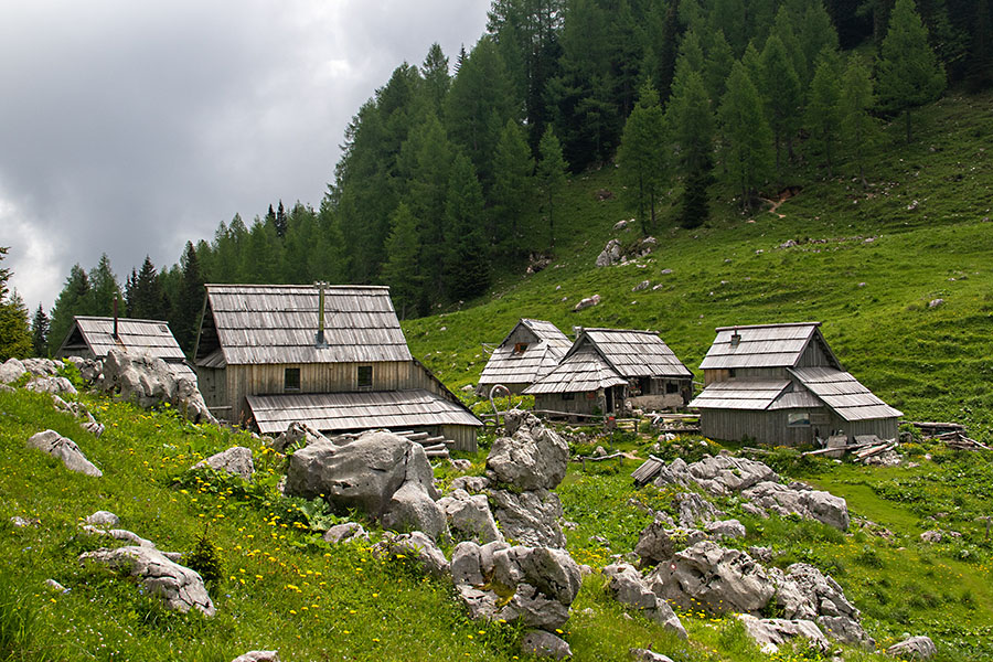 Planina Viševnik
Planina Viševnik.
Ključne besede: planina viševnik
