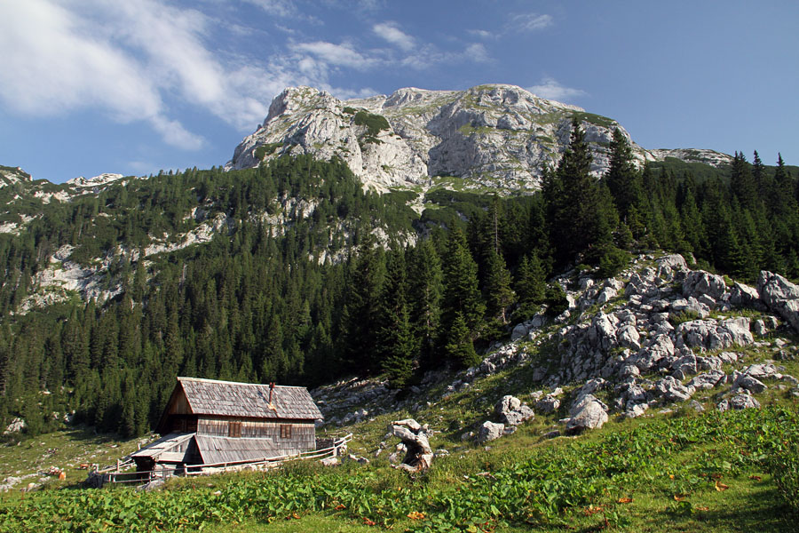 Planina v Lazu z Debelim vrhom
Stan na planini v Lazu. Zadaj je Debeli vrh.
Ključne besede: planina laz debeli vrh
