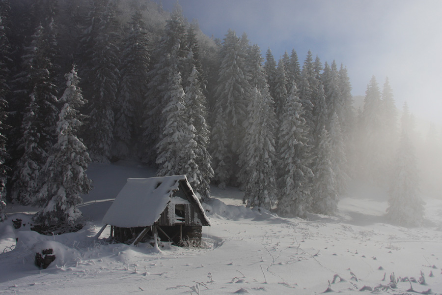 Zadnji stan
Edeni še stoječi stan na planini za Šavnikom. Počasi a vztrajno tudi ta propada.
Ključne besede: planina za šavnikom