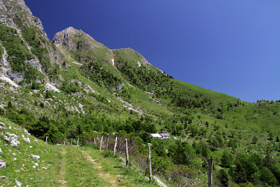 Planina Leskovca
Pot s planine Kuhinja proti planini Leskovca. 
Ključne besede: planina kuhinja leskovca veliki mali stador
