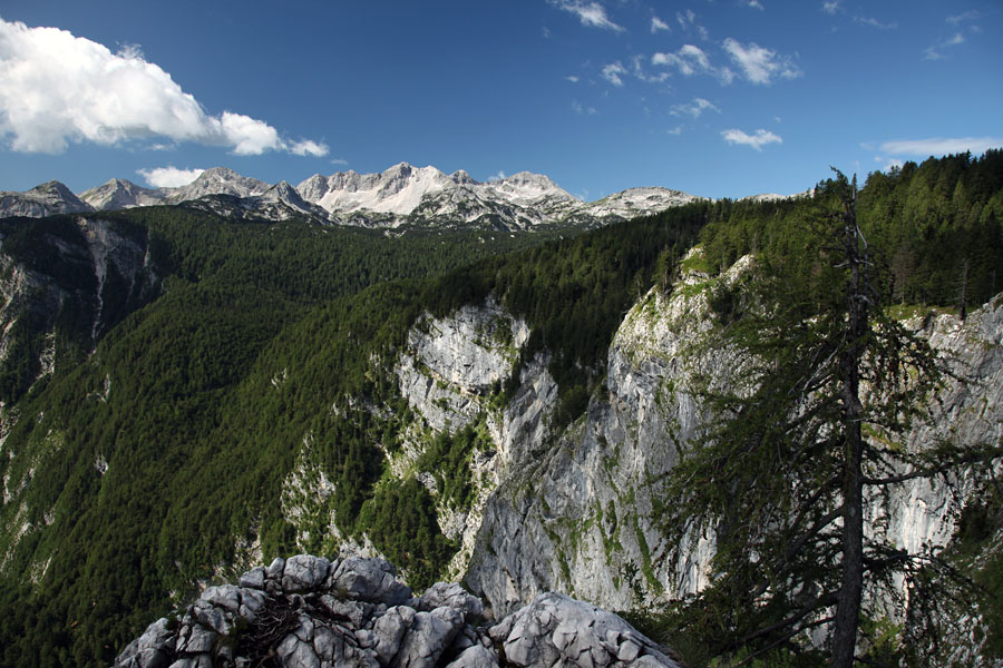 Razglednik na orliču II.
Prepadne stene Komarče z razglednika na Orliču.
Ključne besede: orlič črno jezero komna komarča