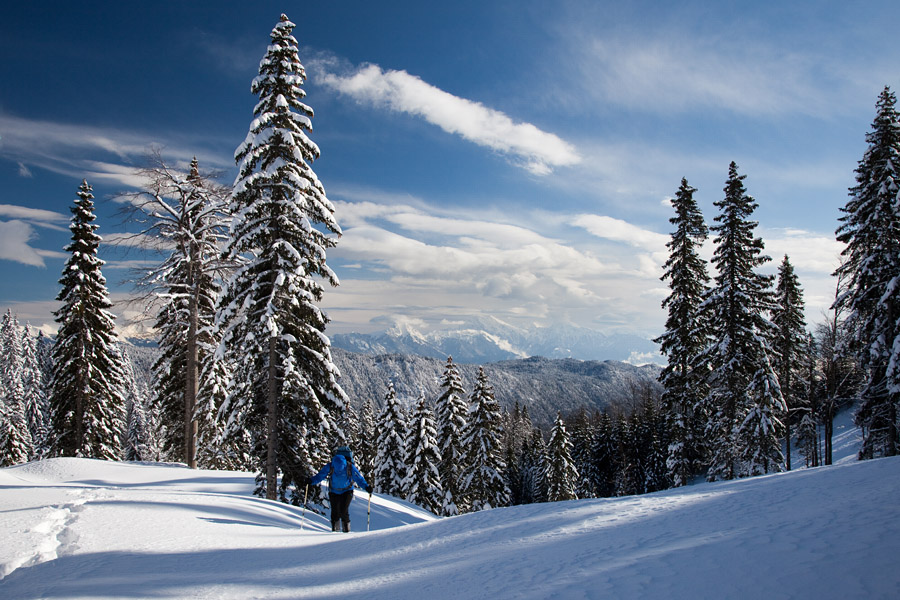 Na planino Klom VI.
Na planino Klom.
Ključne besede: planina klom