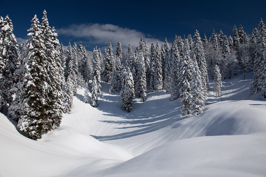 Planina Klom VII.
Zimska idila na planini.
Ključne besede: planina klom