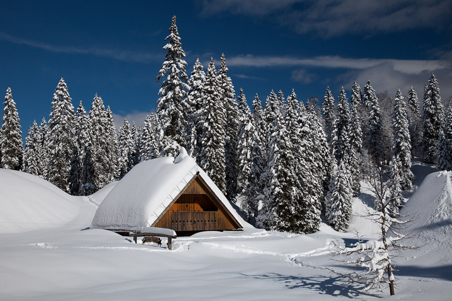 Planina Klom VI.
Do žlebov ozr. do balkona visoka snežna odeja na planini Klom.
Ključne besede: planina klom