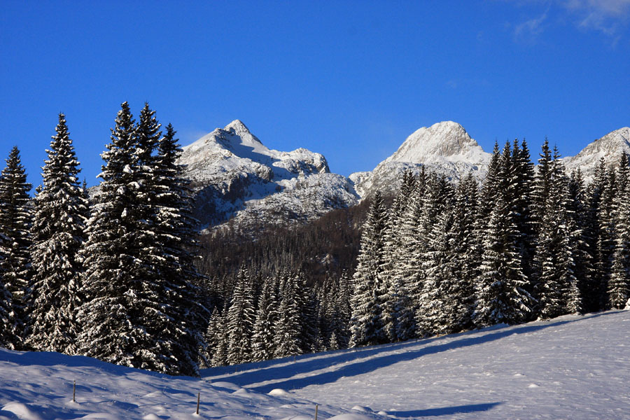 Planina Javornik II.
Na robu planine Javornik.
Ključne besede: planina javornik viševnik mali draški vrh veliki selišnik triglav pokljuka
