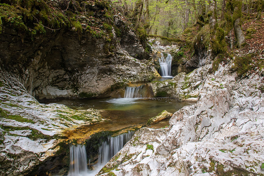 Potok Suha
Brzice in tolmuni potoka Suha.
Ključne besede: potok suha