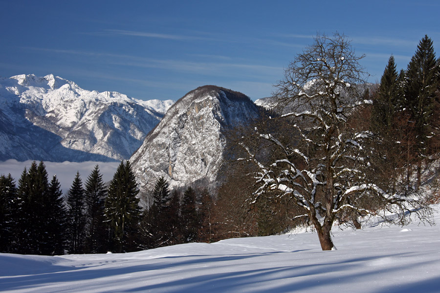 Na Poljani I.
Pašnik nad Bohinjsko Češnjico je že toliko dvignjen nad vasjo, da pogled seže do Bohinjskega jezera, ki pa je ponavadi vse dopoldne v megli. Skalnat hrib desno je Studor.
Ključne besede: poljana bohinjska češnjica studor bohinj