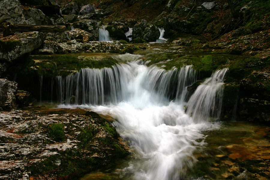 Brzice
Brzice na poti v dolino.Bohinj
Ključne besede: potok hudournik