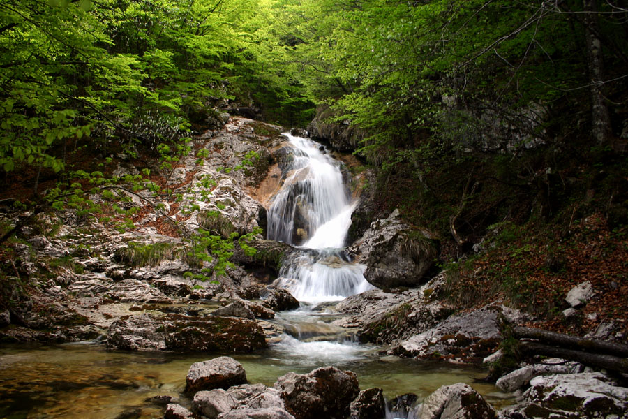Potoček
Hudourniški potok, ki poleti presahne. Bohinj.
Ključne besede: potok hudournik slap