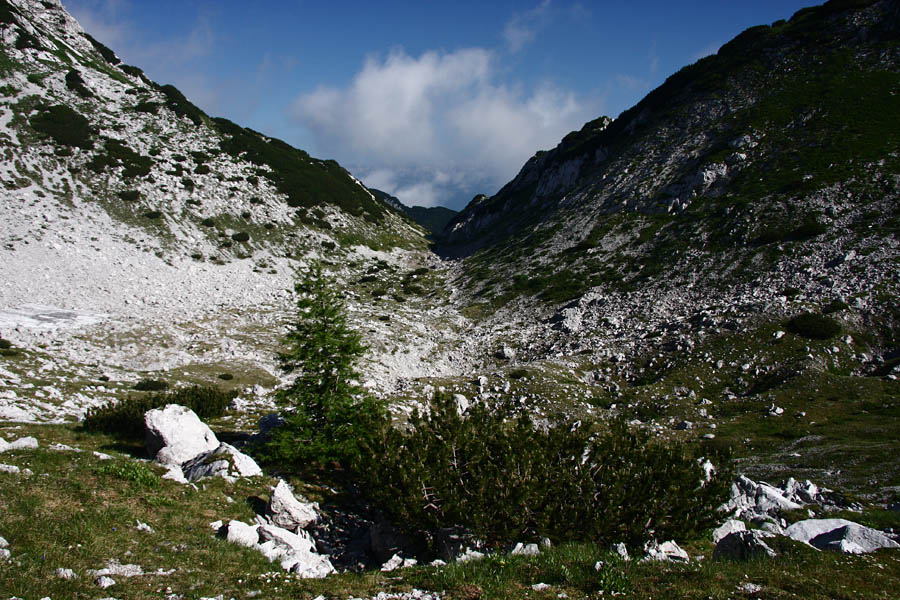 Matajurc
konta pod matajurskim vrhom. V vrtači desno je spomladi, ko se topi sneg malo jezero.
Ključne besede: matajurc matrajurski vrh