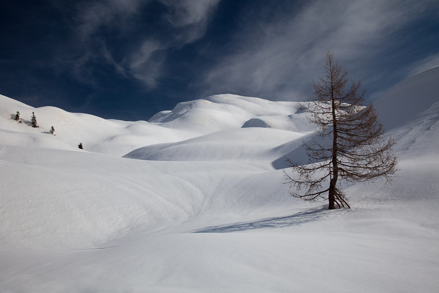 V planino Govnjač III.
Spust v planino Govnjač.
Ključne besede: planina govnjač spodnja komna