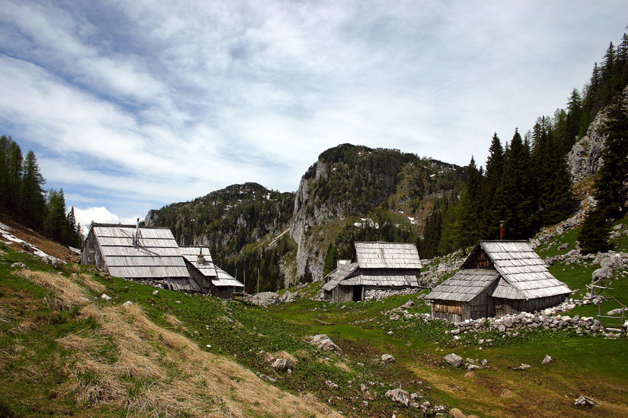 Planina Viševnik
Obisk planine ob vrnitvi s Pršivca je vsekakor obvezen. Tu se je komaj otresla snega in še sameva.
Ključne besede: planina viševnik