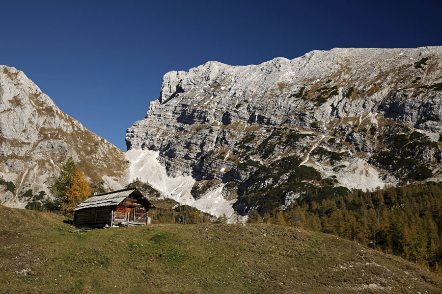 Planina Pod Mišelj vrhom
Stan na planini Pod Mišelj vrhom. Zadaj so Bohinjska vratca in Tosc.
Ključne besede: planina pod mišelj vrhom bohinjska vratca tosc