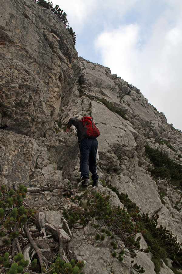 Pot na Bohinjski Migovec
Krajši del proti vrhu Bohinjskega Migovca je kar malo siten.
Ključne besede: bohinjski migovec