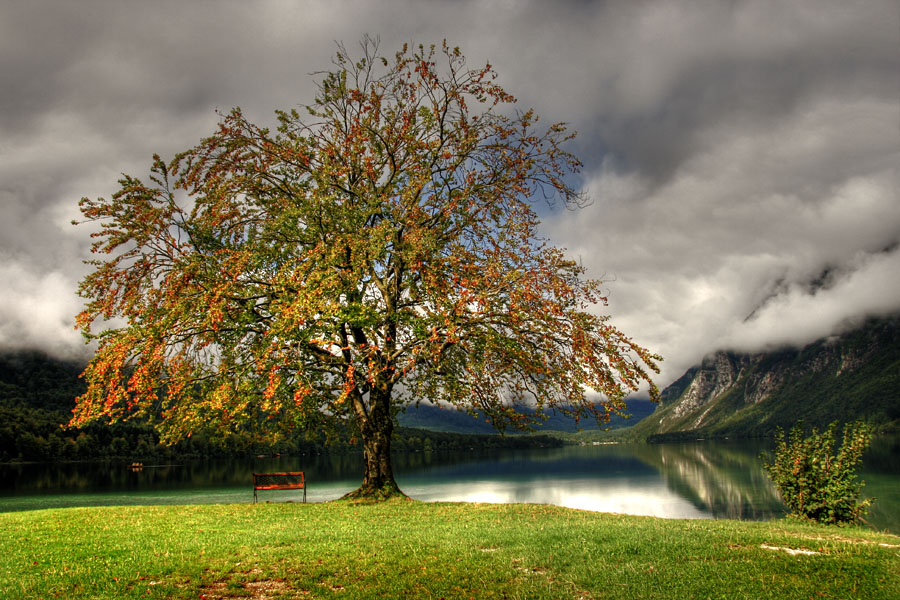 Čakajoč jesen
Pričakovanje jeseni ob Bohinjskem jezeru.
Keywords: bohinjsko jezero jesen bohinj