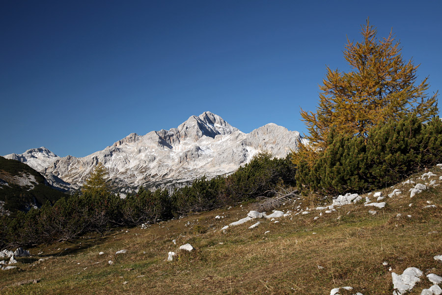 S poti na Mrežce III.
Proti vrhu Mrežc se pokaže Triglav.
Ključne besede: mrežce triglav