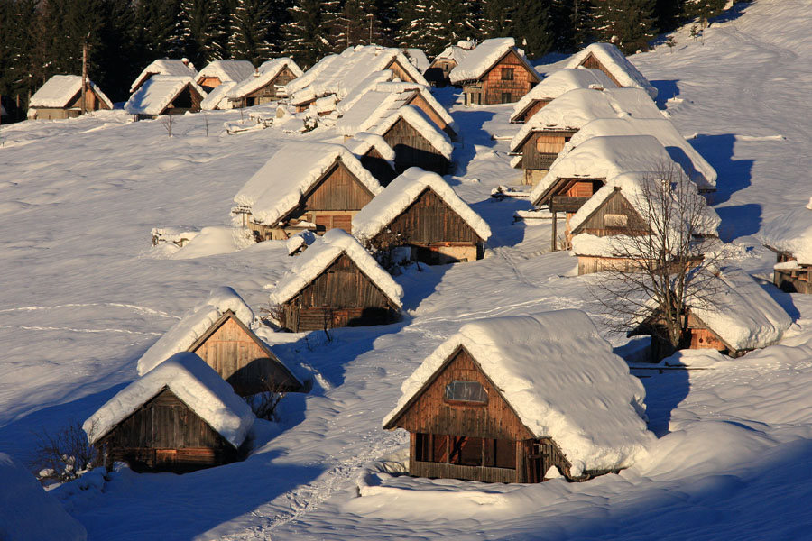 Stanovi
Stanovi na Zajamnikih.
Ključne besede: planina zajamniki